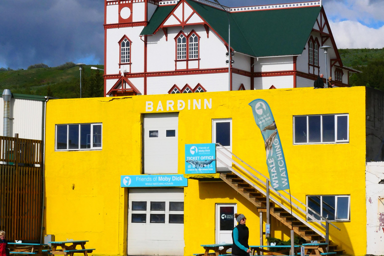 Húsavík: Whale Watching Tour with Heated Indoor Seating