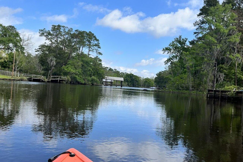 Jacksonville FL: Avventura in kayak sul fiume OrtegaNoleggio di 1 ora di kayak in tandem