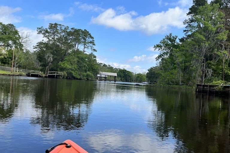 Jacksonville FL: Avventura in kayak sul fiume OrtegaNoleggio di 1 ora di kayak in tandem