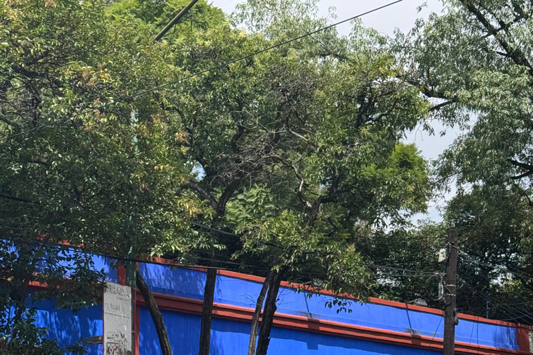 Mexico City: Entrance Ticket to the Frida Kahlo Museum