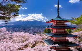 Tokyo: Mount Fuji and Lake Kawaguchi Scenic 1-Day Bus Tour
