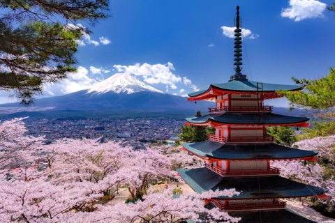 Mt Fuji and Lake Kawaguchi Scenic 1-Day Bus Tour Tour with Shinjuku LOVE Object Meeting Point