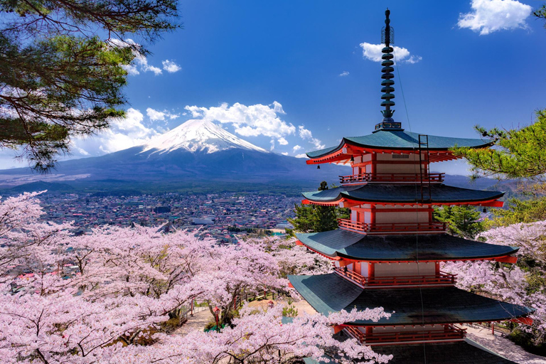 Fuji en Kawaguchimeer: sightseeingbustour van 1 dagTrip met trefpunt Shinagawa