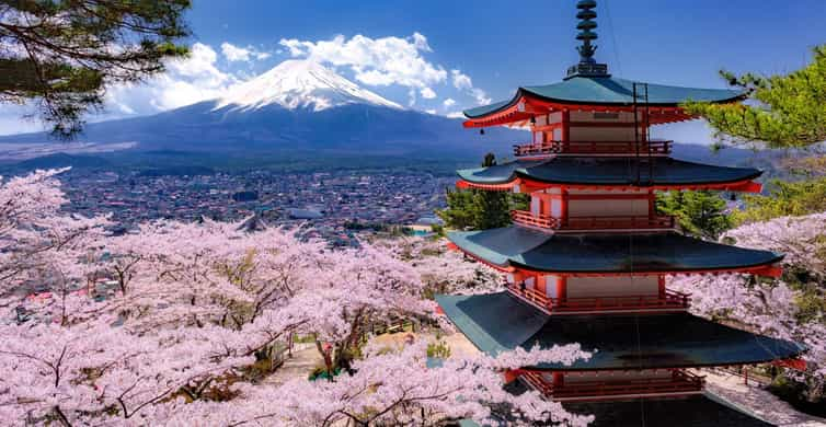 The BEST Tokyo Tours and Things to Do in 2024 - FREE Cancellation ...