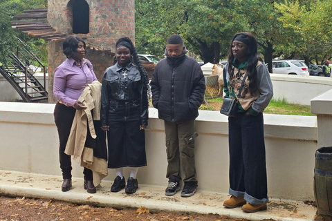 Cape Town: Cruise Passengers sunset Safari & Wine Tour
