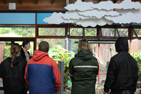 Zoológico de Wellington - Animales de Aotearoa - Visita en grupoZoológico de Wellington - Tour en grupo «Animales de Aotearoa»