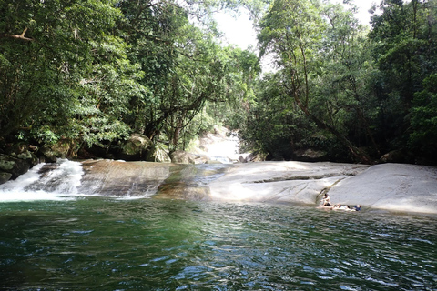 Cairns : Visite guidée de la forêt tropicale, du littoral et des sites touristiques