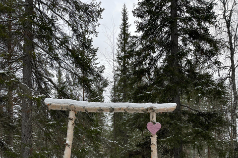 Rovaniemi : Randonnée guidée des chutes d'eau gelées du canyon de Korouoma