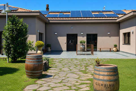 Etna + Wine Tasting Experience in a Winery and Lunch included Etna + Wine Tasting Experience in a Winery with Lunch included