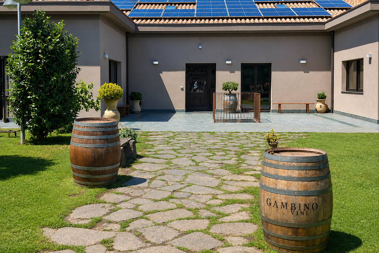 Etna + Wine Tasting Experience in a Winery and Lunch included Etna + Wine Tasting Experience in a Winery with Lunch included