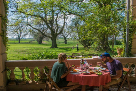 从布宜诺斯艾利斯出发：埃尔翁布德阿雷科（含接送服务）从布宜诺斯艾利斯出发：阿雷科的奥姆布树，含接送服务