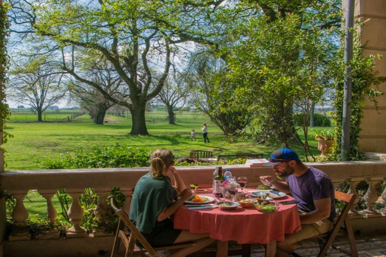 从布宜诺斯艾利斯出发：埃尔翁布德阿雷科（含接送服务）从布宜诺斯艾利斯出发：阿雷科的奥姆布树，含接送服务