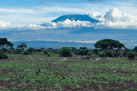 Excursão nocturna ao Parque Nacional Amboseli a partir de Nairobi