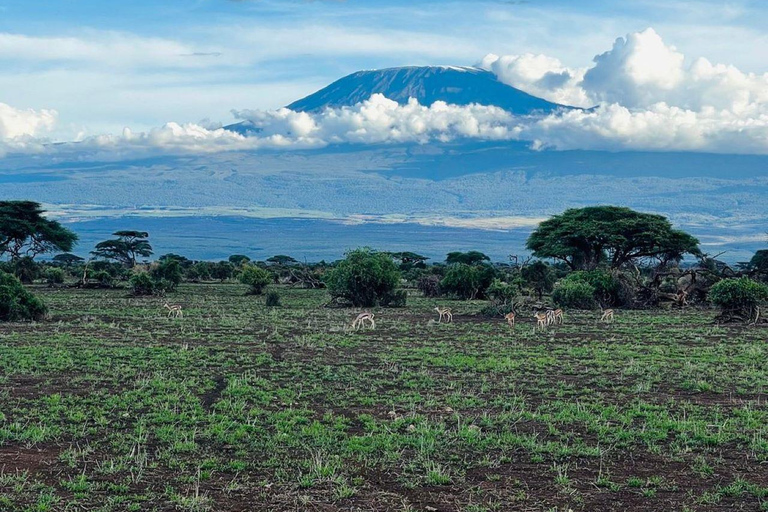 Excursion de nuit au parc national d&#039;Amboseli depuis Nairobi