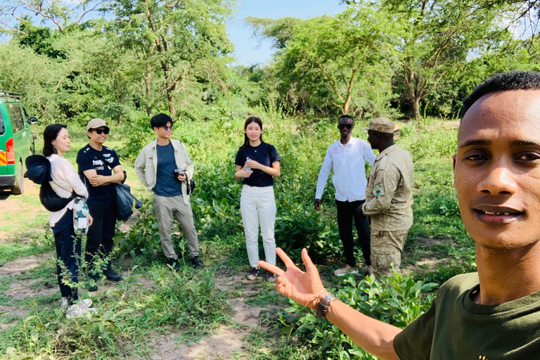 恩德培/坎帕拉：默奇森瀑布和齐瓦犀牛两日游