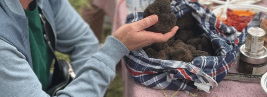 Pouilles : expérience de chasse aux truffes avec déjeuner