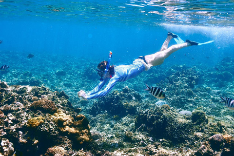 Sharm El Sheij: Crucero en barco de lujo con snorkel y almuerzoSharm El Sheij: Crucero por el Parque Natural con snorkel y almuerzo