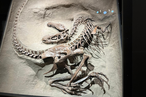 From Calgary: Drumheller Dinosaur Valley Full-Day Tour