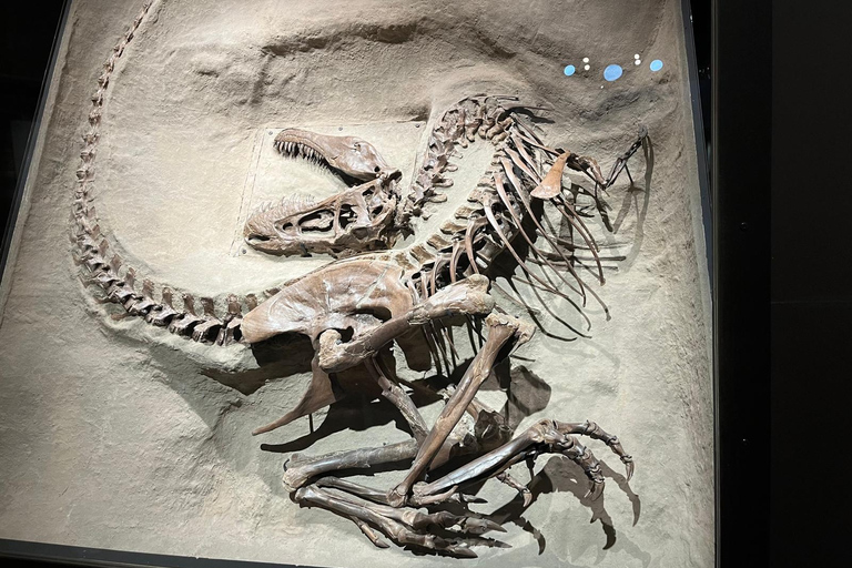 From Calgary: Drumheller Dinosaur Valley Full-Day Tour