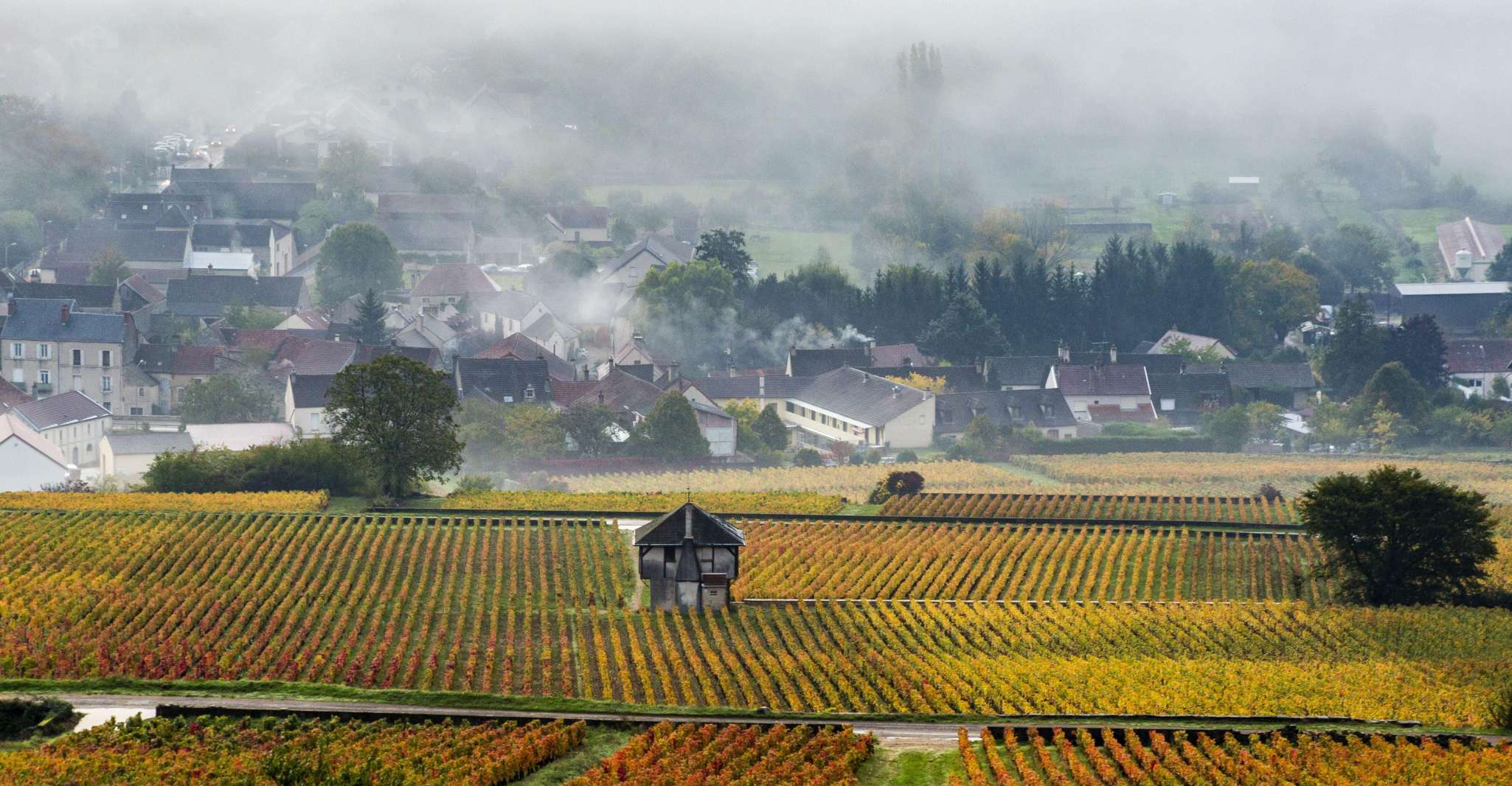 Small group full day tour in the Burgundy vineyards - Housity