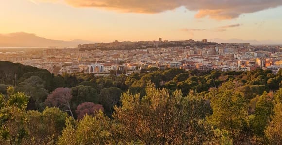 Cagliari: Discovery Tour of the Scenic Coast & Old Town