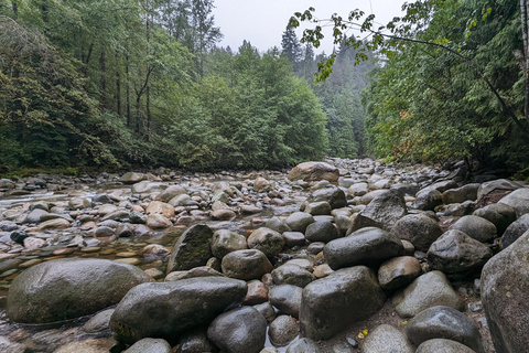 Grouse Mnt+StanleyPark+Hatchery+Cleveland Dam+LynnCanyonTOUR Shared Tour