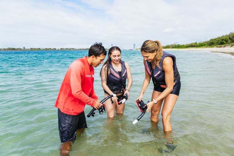 Gold Coast: tour de kayak y esnórquel en Wave Break IslandOpción de punto de encuentro