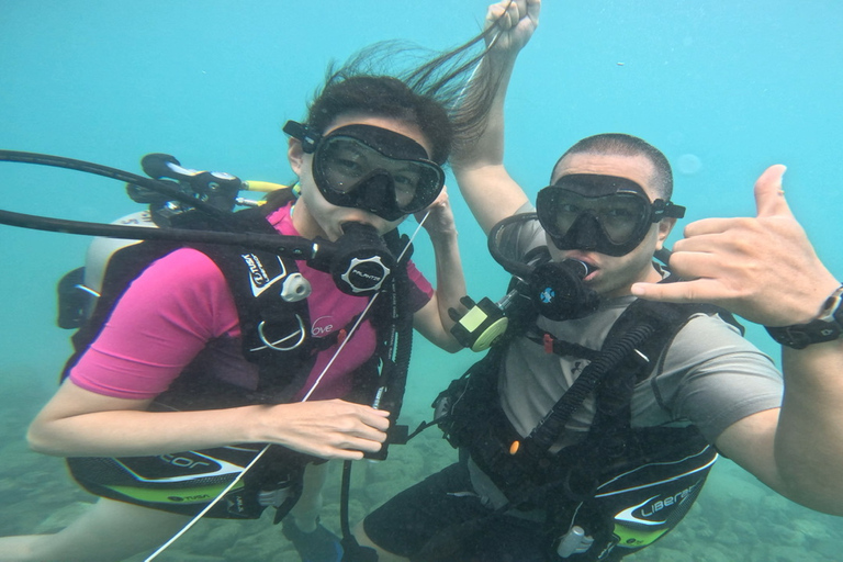 Honolulu: Excursión de buceo para principiantes con vídeos gratuitos