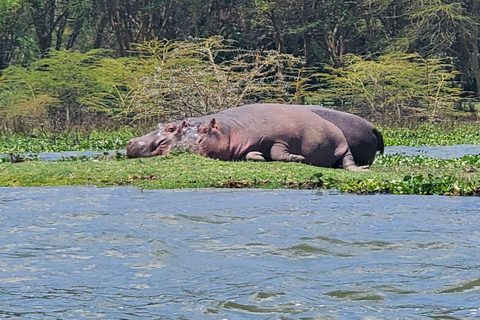 1 Day Lake Naivasha & Crescent Island Walking Safari