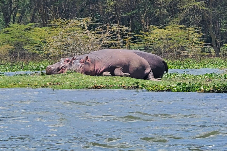 1 Day Lake Naivasha & Crescent Island Walking Safari