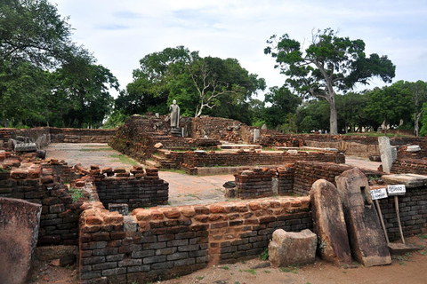 From Trincomalee: Sigiriya Guided Heritage & Wildlife Tour
