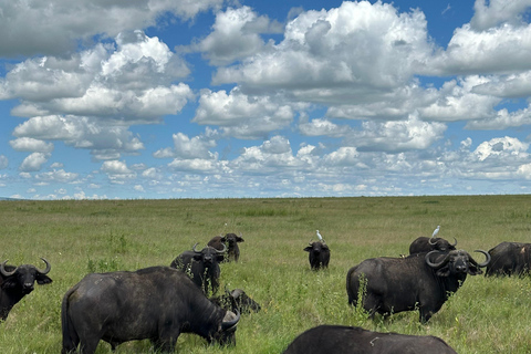 4-Days Group Safari Tour Tarangire, Serengeti & Ngorongoro 4-Days Group Safari Tarangire, Serengeti & Ngorongoro