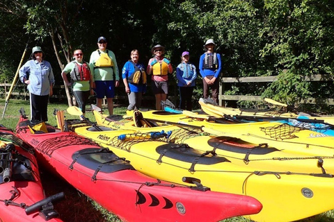 Full-Day Buffalo Bayou Kayaking Tour