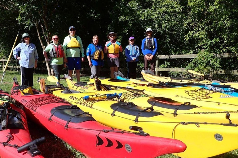 Full-Day Buffalo Bayou Kayaking Tour