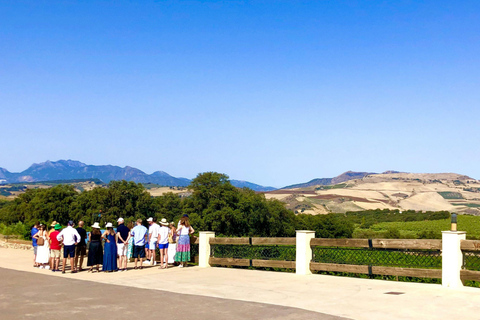Ronda : visite d&#039;un domaine viticole avec dégustation de vins et tapas