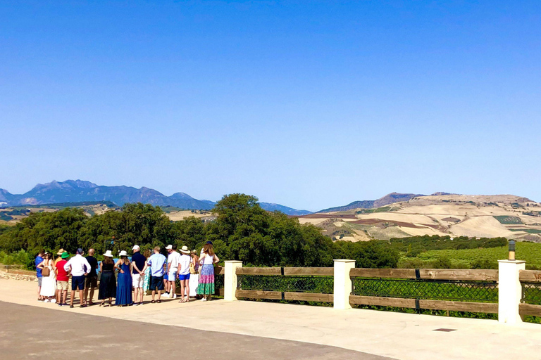 Ronda : visite d&#039;un domaine viticole avec dégustation de vins et tapas