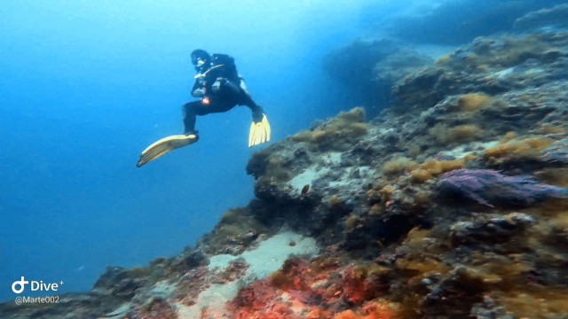 Visit Diving is fun!!! in Lanzarote