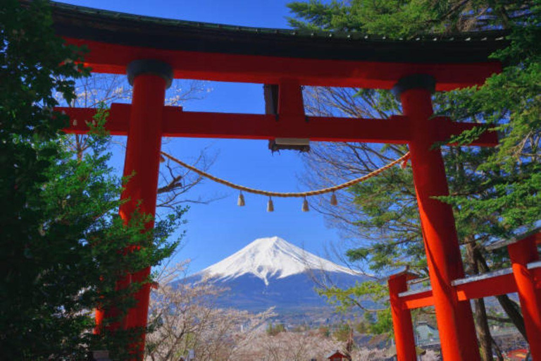 Berg Fuji und Hakone Ganztagestour private Tour