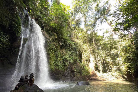 Ubud: foresta delle scimmie, tempio, terrazze di riso, cascata nascostaTour privati