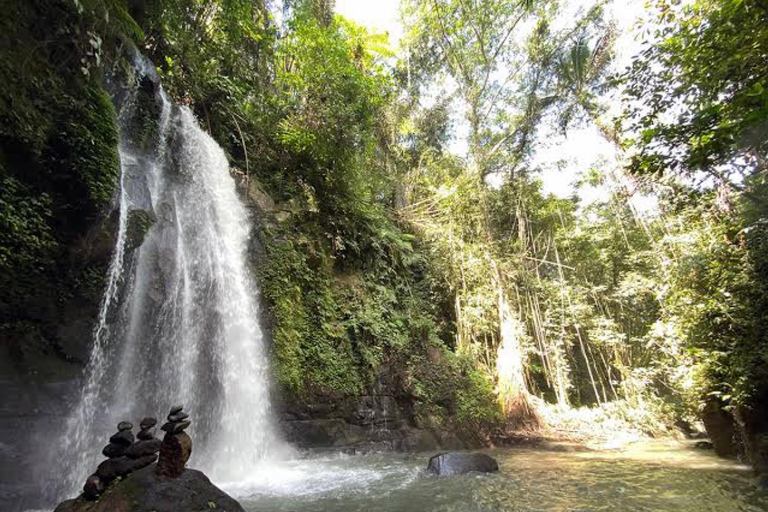 Ubud: foresta delle scimmie, tempio, terrazze di riso, cascata nascostaTour privati