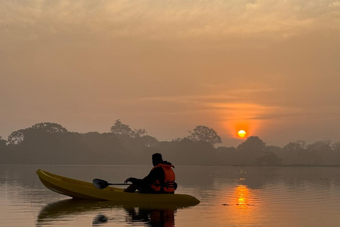 Sigiriya: Birdwatching Kayak Tour with Guide