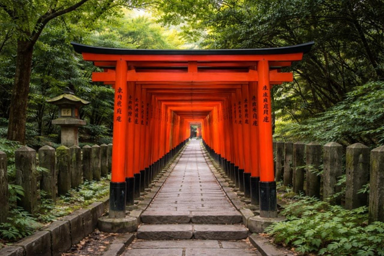 Tokyo City Customizable Guided Tour in Luxury Private Car Tokyo Custom Tour: Private Vehicle & English-Speaking (5)