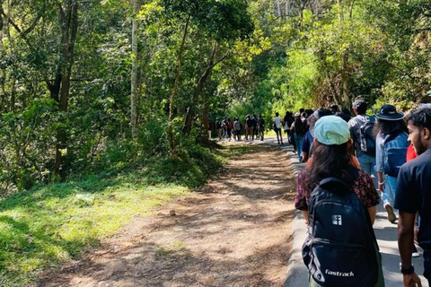 Kandy: Hidden Highlands Nature Walk