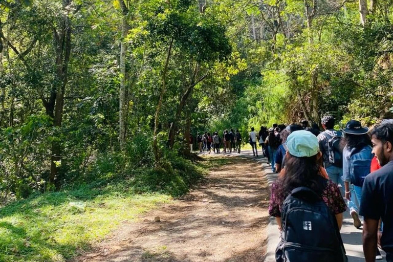 Kandy: Hidden Highlands Nature Walk