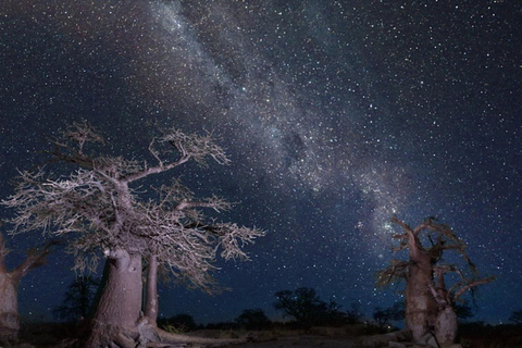 Botswana: Makgadikgadi Pans Day Trip