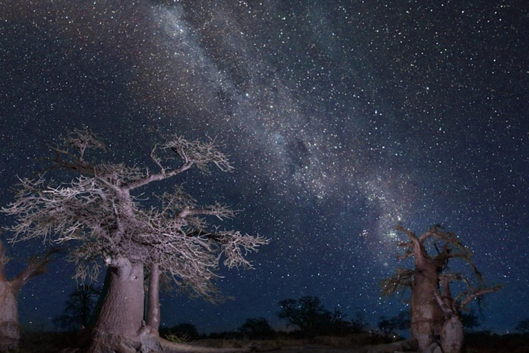 Botswana: Makgadikgadi Pans Day Trip