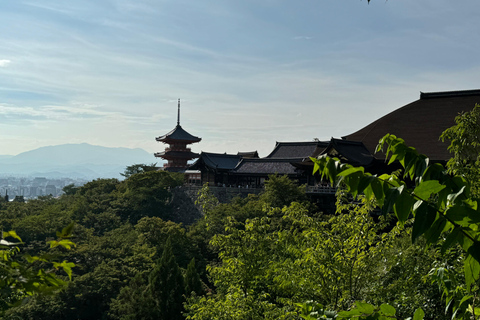 Kyoto: Gion Highlights & Hidden Treasures Guided Tour Group Tour