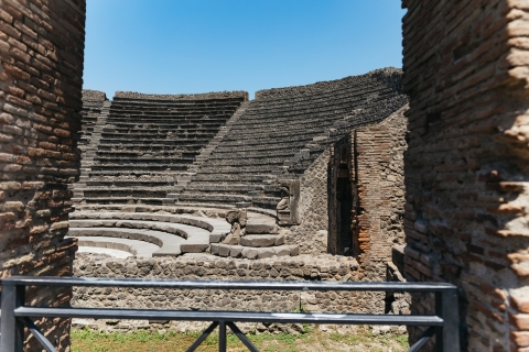 Z Neapolu: Pompeje i Wezuwiusz – wycieczka całodniowaWycieczka w języku hiszpańskim — przewodnik na żywo Odbiór z portu rejsowego
