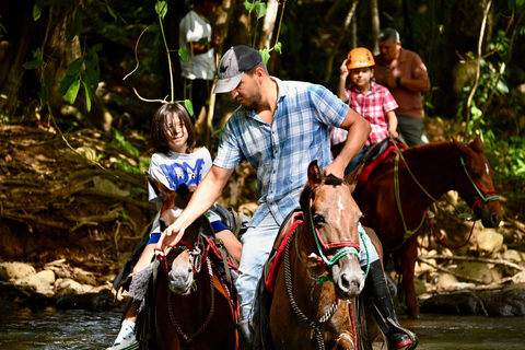 Goyave: Beginner Horseback Ride Between Sea and Mountains