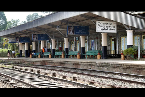 Kandy To Ella Private Transfer With Train Ride Hidden Stops